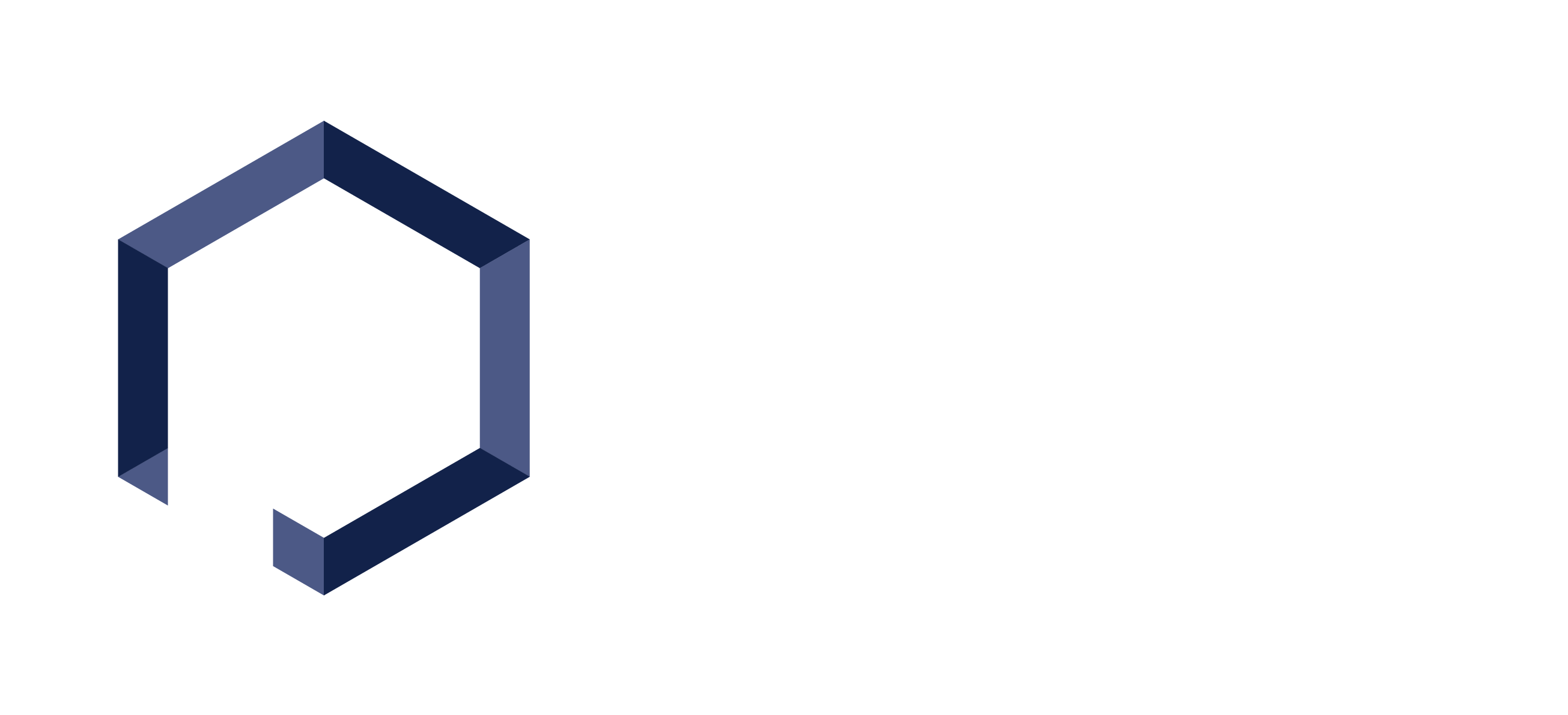 Prozura Logo Footer